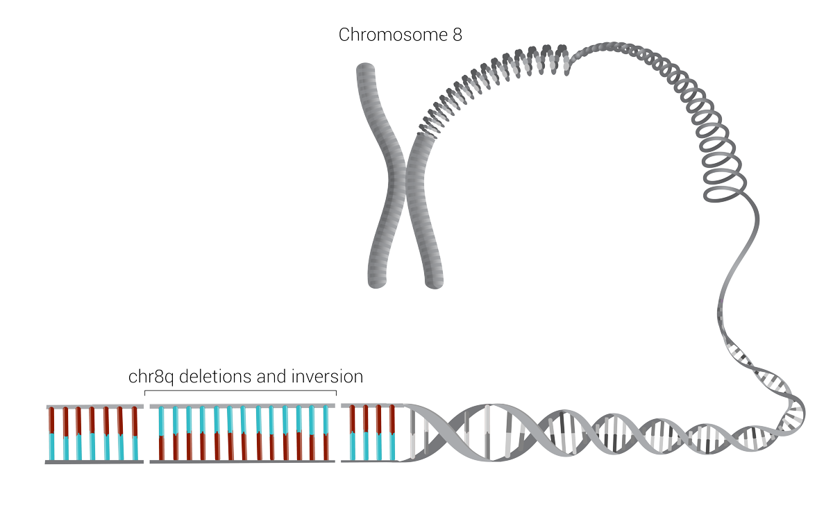 An illustration of trio sequencing