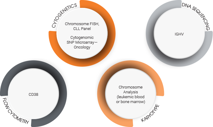 chronic lymphocytic leukemia Chromosome fish CLL Panel Cytogenomic SNP Microarray , CD38, IGHV, Chromosome analysis Leukemic blood or Bone Marrow 