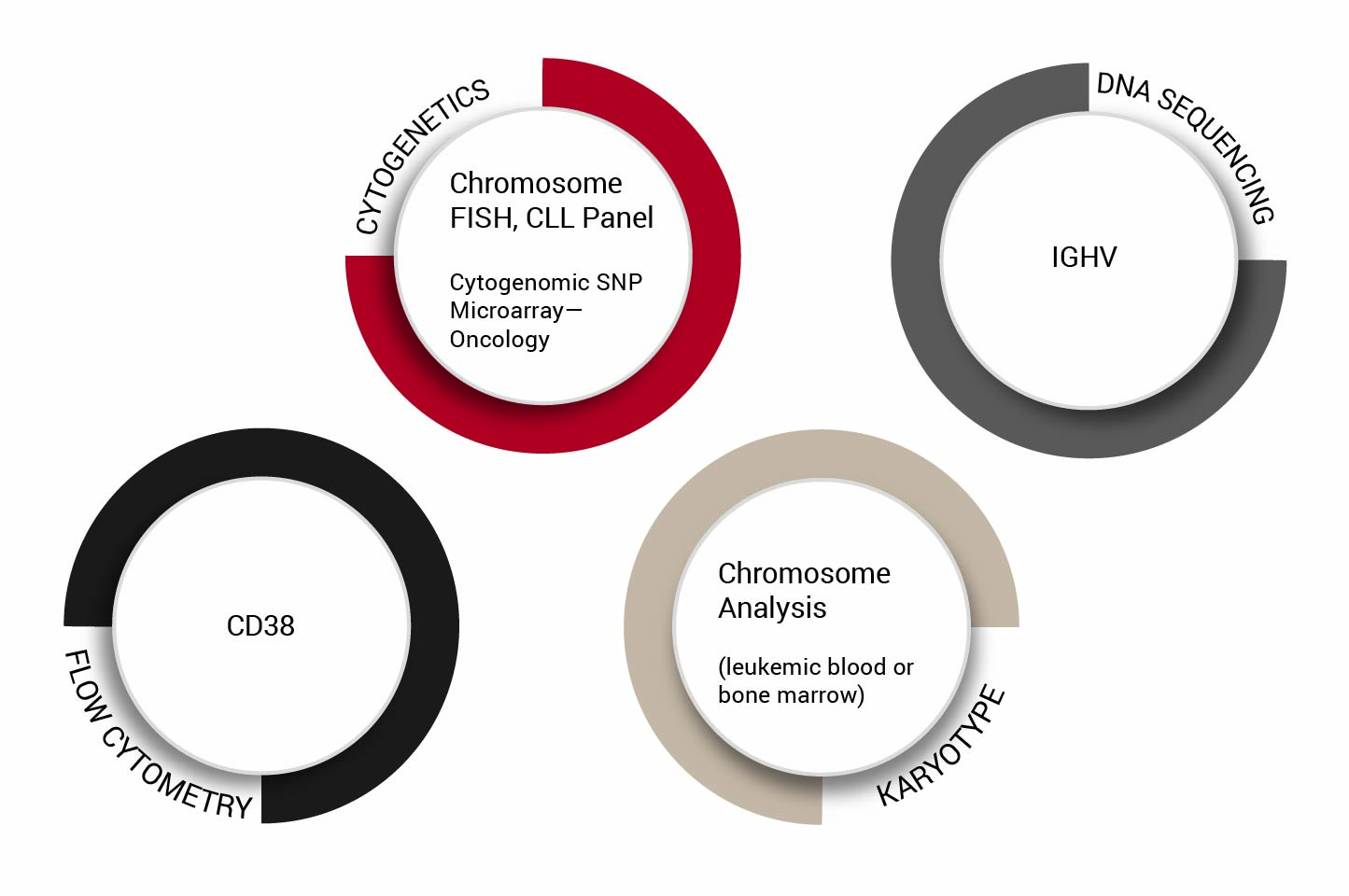 chronic lymphocytic leukemia Chromosome fish CLL Panel Cytogenomic SNP Microarray , CD38, IGHV, Chromosome analysis Leukemic blood or Bone Marrow 