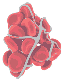 blood