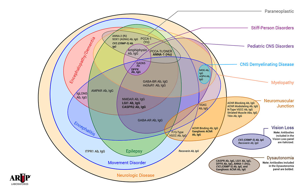 ARUP Autoimmune Neurology Panel Components, Serum