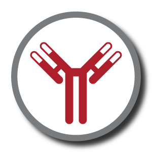 Antibody icon