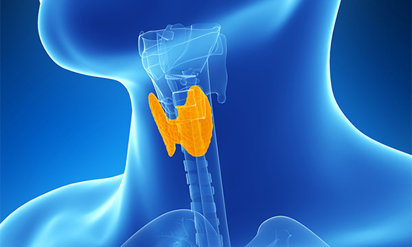 Thyroid Cancer