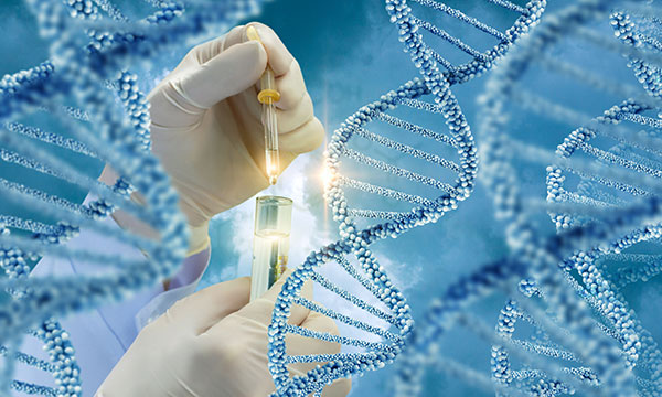 Online Genetic Testing