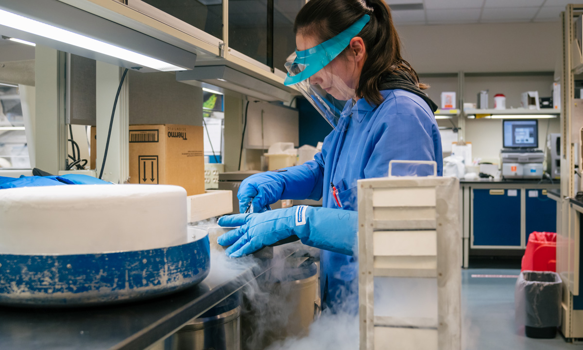 Medical technologist Lisa Meek at work