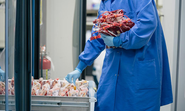 A technician places bags of blood into cold storage