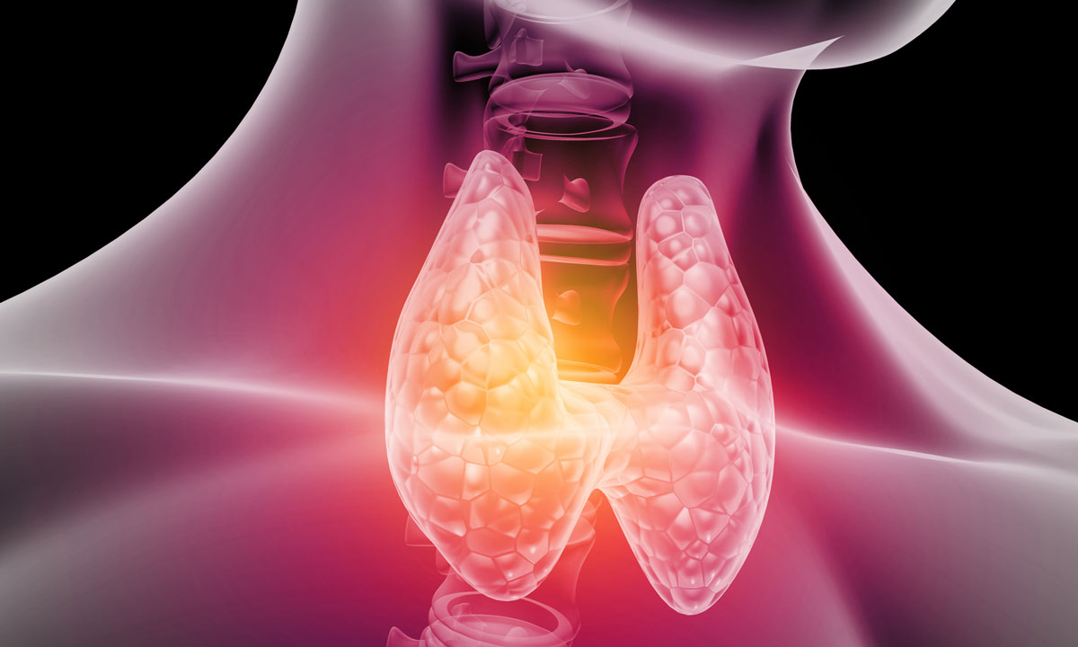 Thyroid location