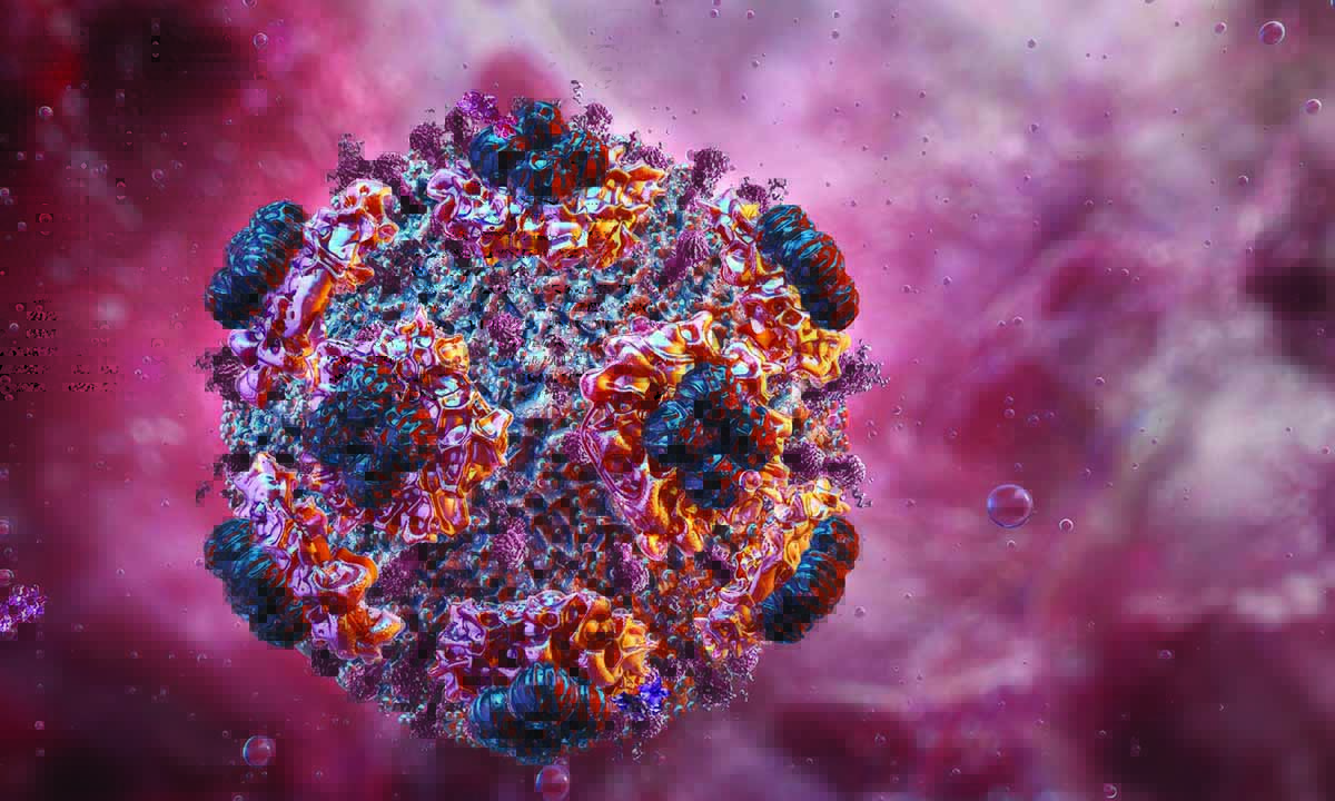 germ cell