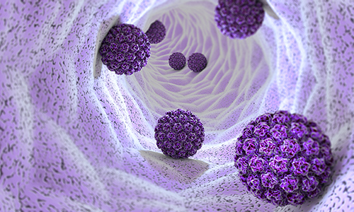 llustration of HPV cells