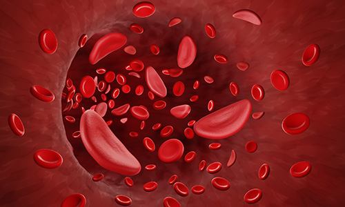 photo illustration of blood cells inside an artery