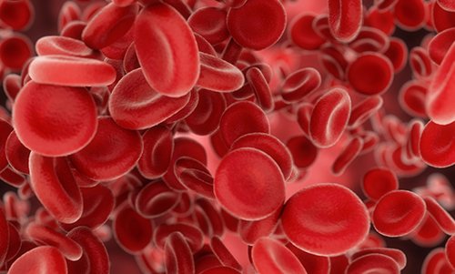 Microscopic image of blood