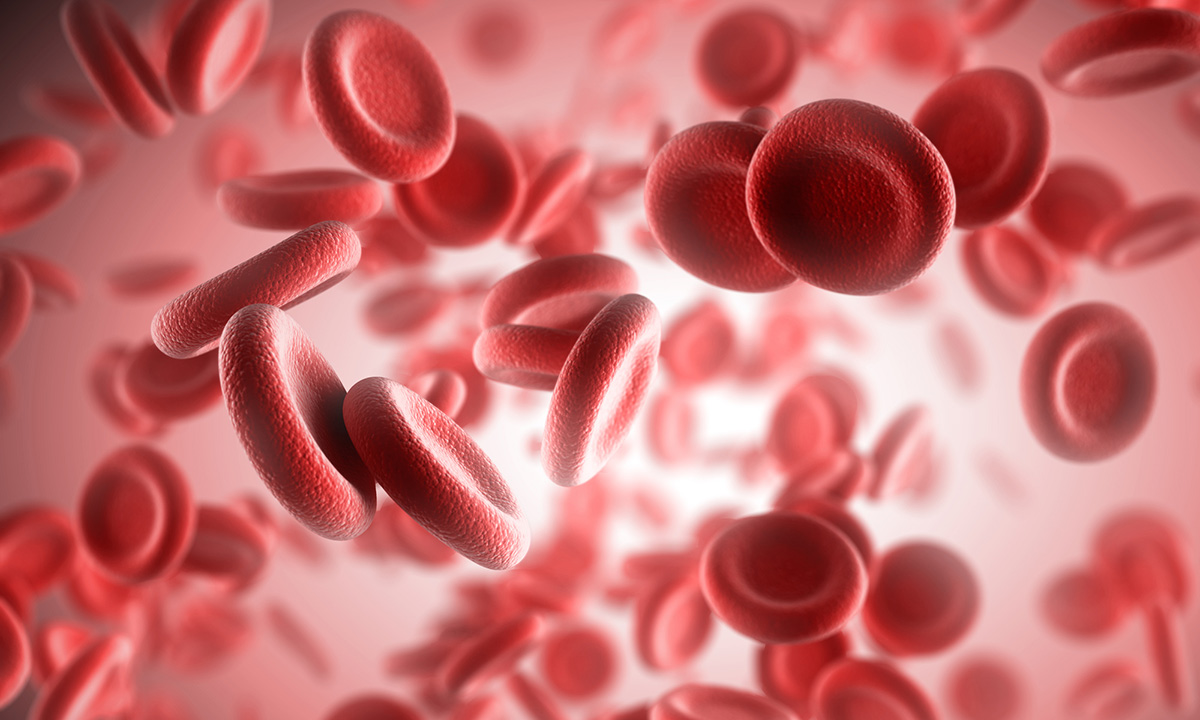 Red blood cells