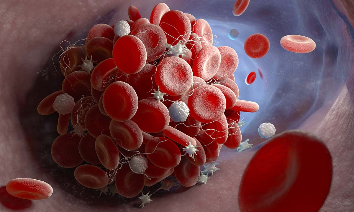 Illustration of blood cells