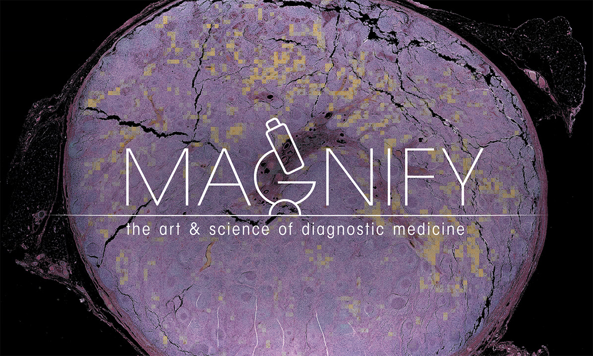 Magnify logo on a background of a purple cell