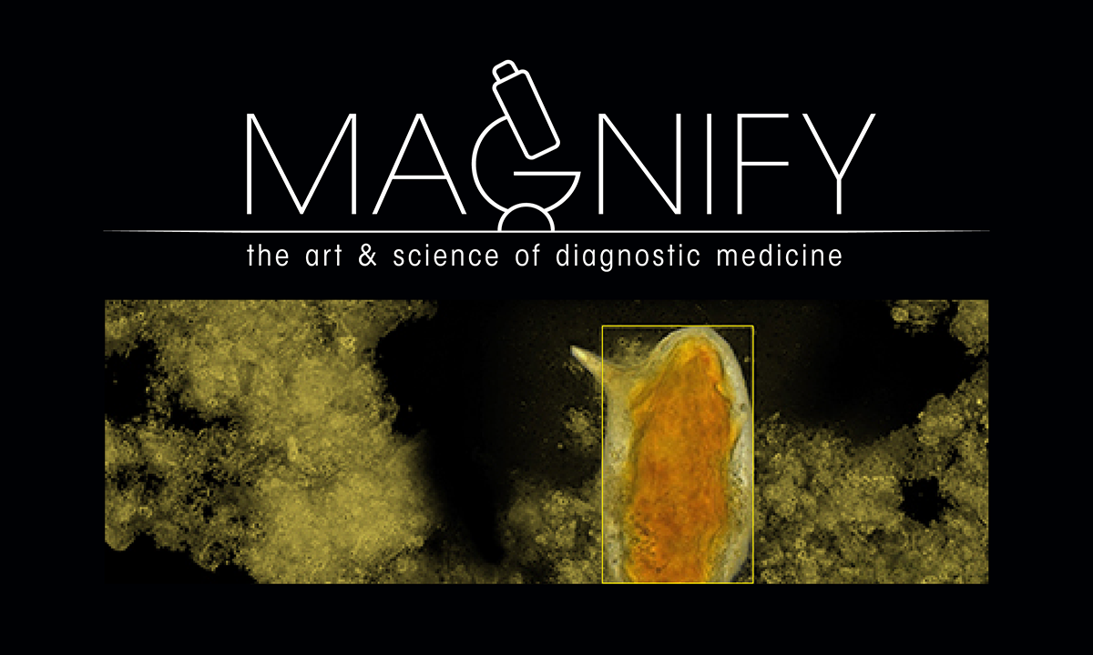 Magnify The art and science of diagnostic medicine