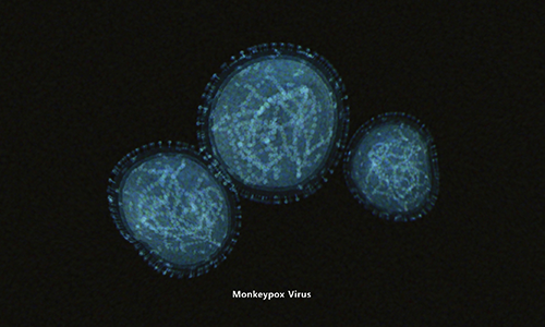 monkeypox molecules