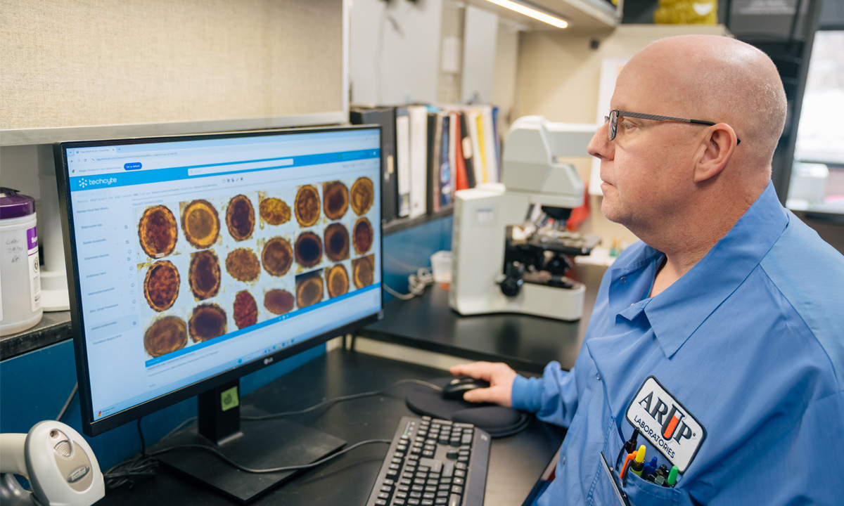 Blaine Mathison looks at a computer screen showing digital images of wet-mount slides.