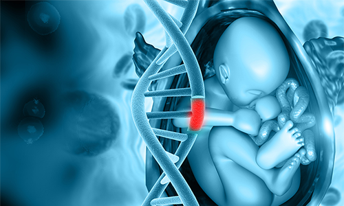 Illustration of DNA and womb