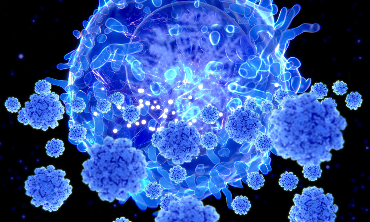 Illustration of T cell targeting SARS-CoV-2