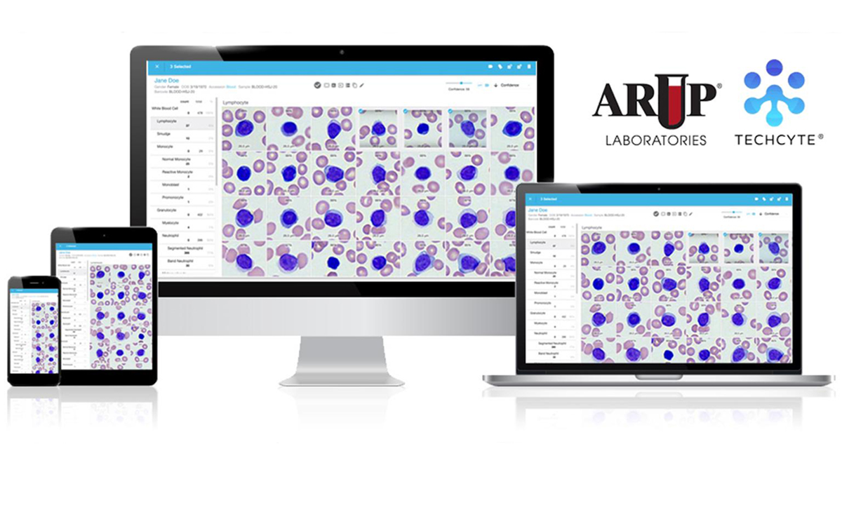 arup-techcyte