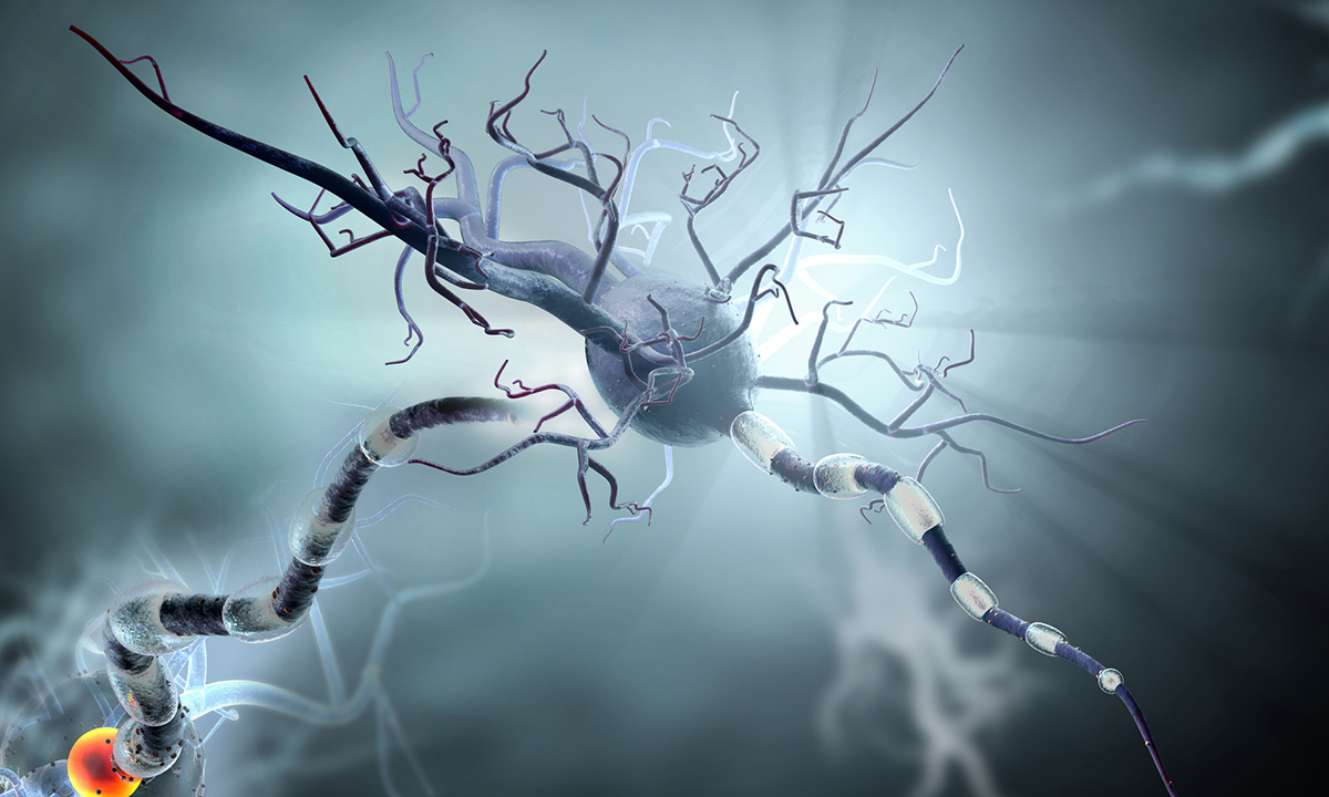 Illustration of autoimmune neurologic diseases neural pathway