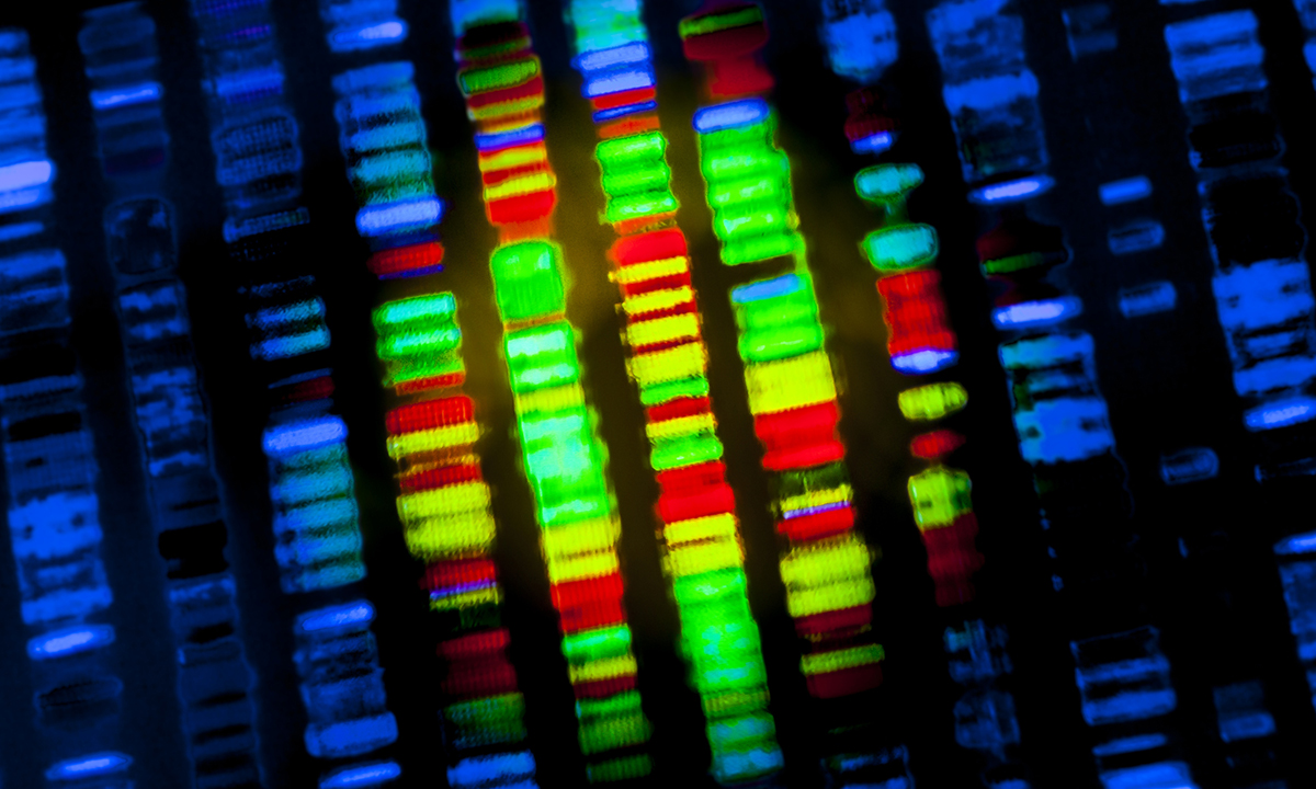 photo of genome sequencing
