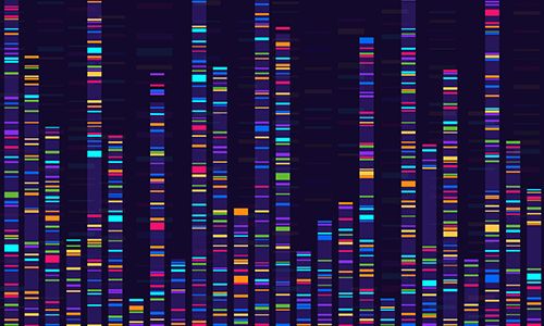 photo of whole genome sequencing