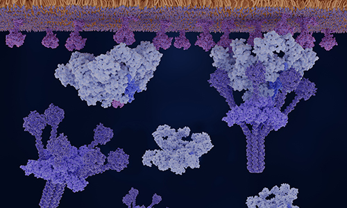 photo illustration of molecules