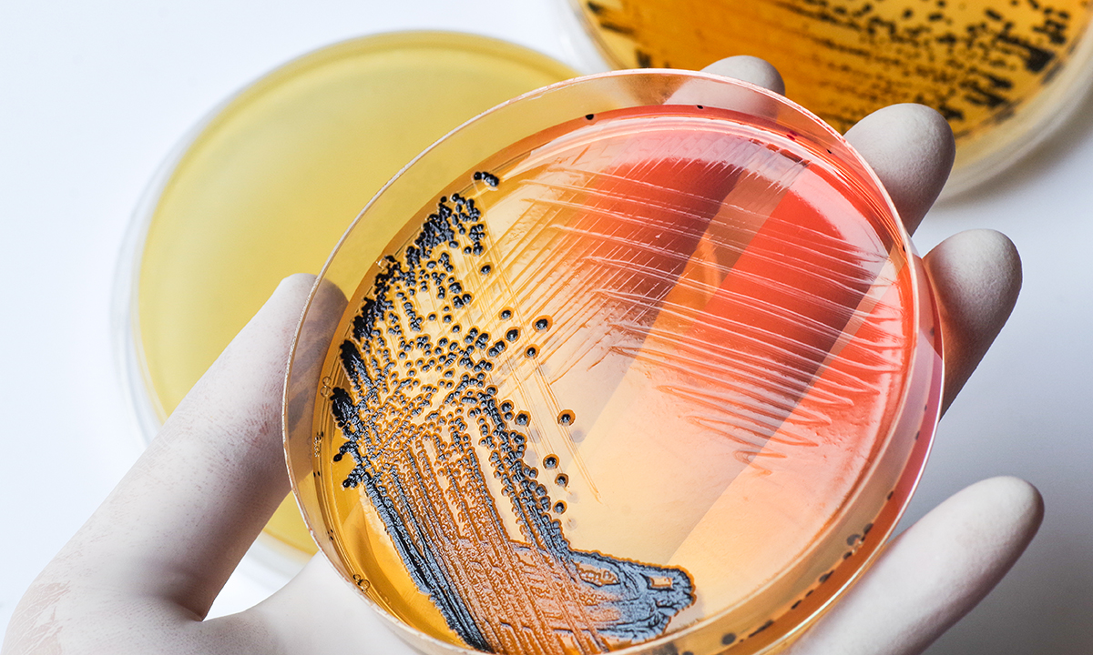 A gloved hand holds a sample of pathogens