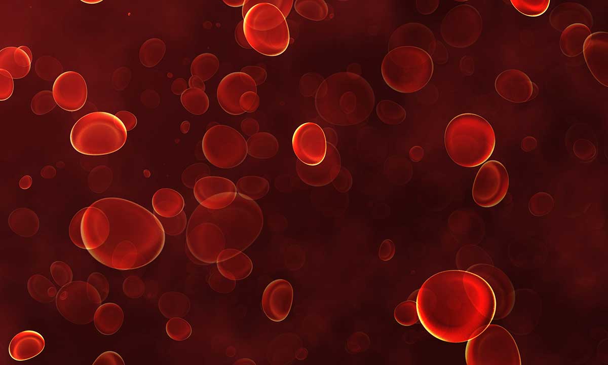 Blood platelets