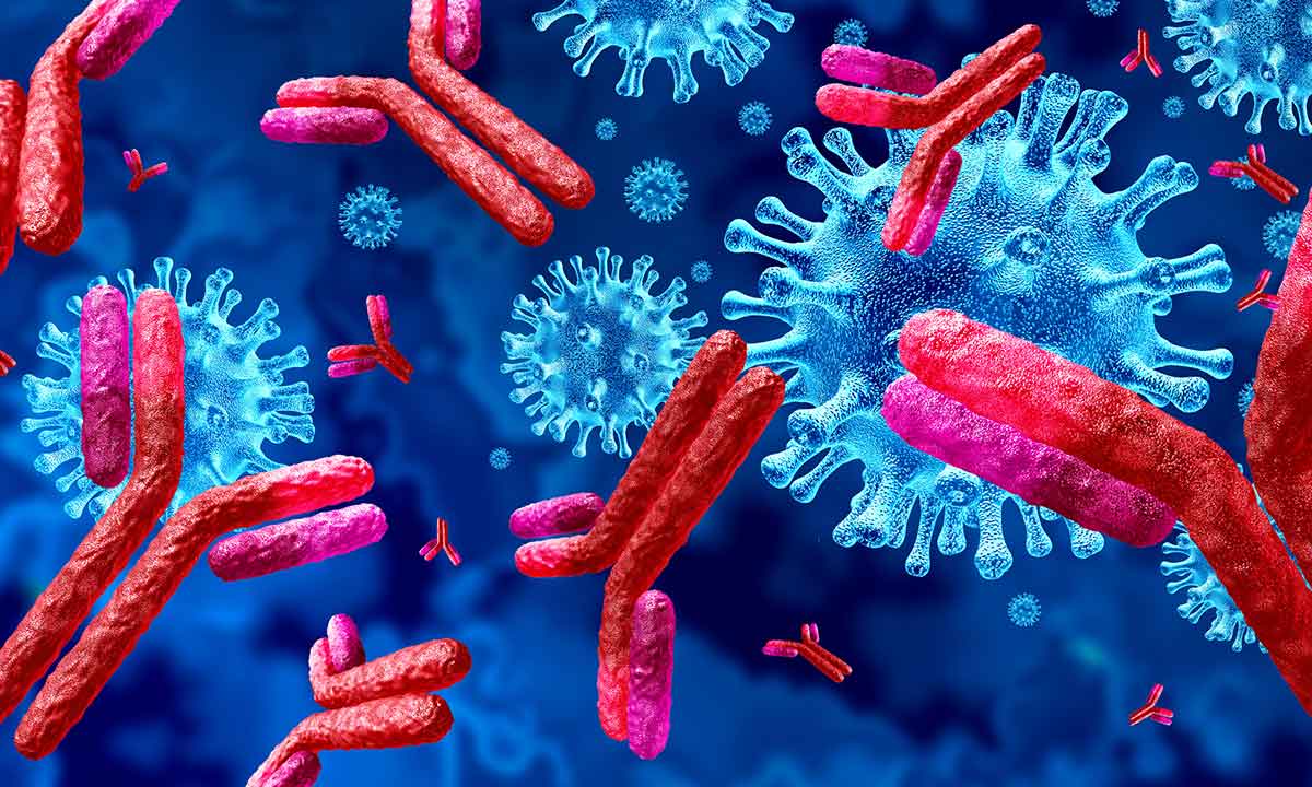 Image of microscopic view of SARS-CoV2 neutralizing antibodies.