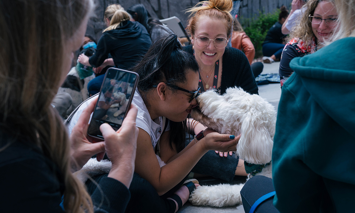 Employees interact with therapy animals including a woman sitting on the floor, receiving dog kisses