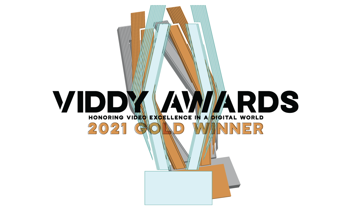 Viddy Awards logo