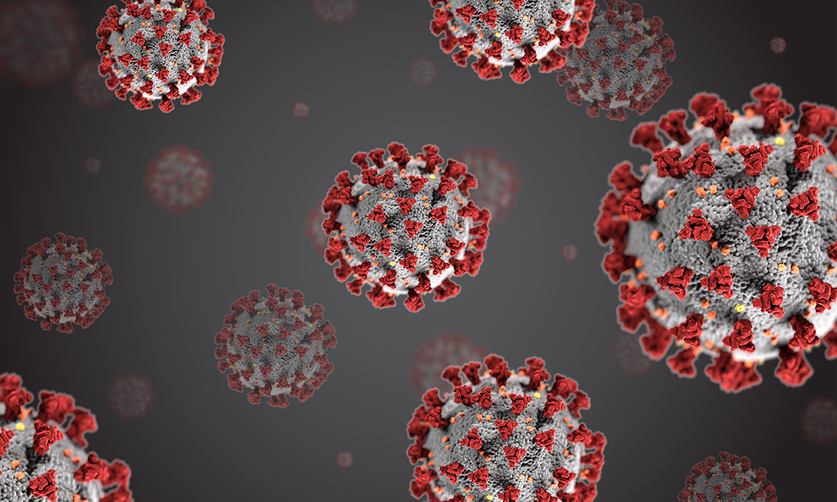 2019 Novel Coronavirus SARS-CoV-2