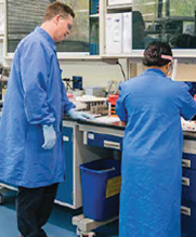 Automated Core/Automated Endocrinology Labs
