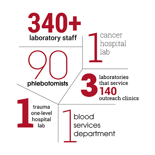 Laboratory infographic