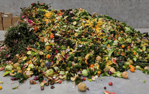 A large pile of food compost