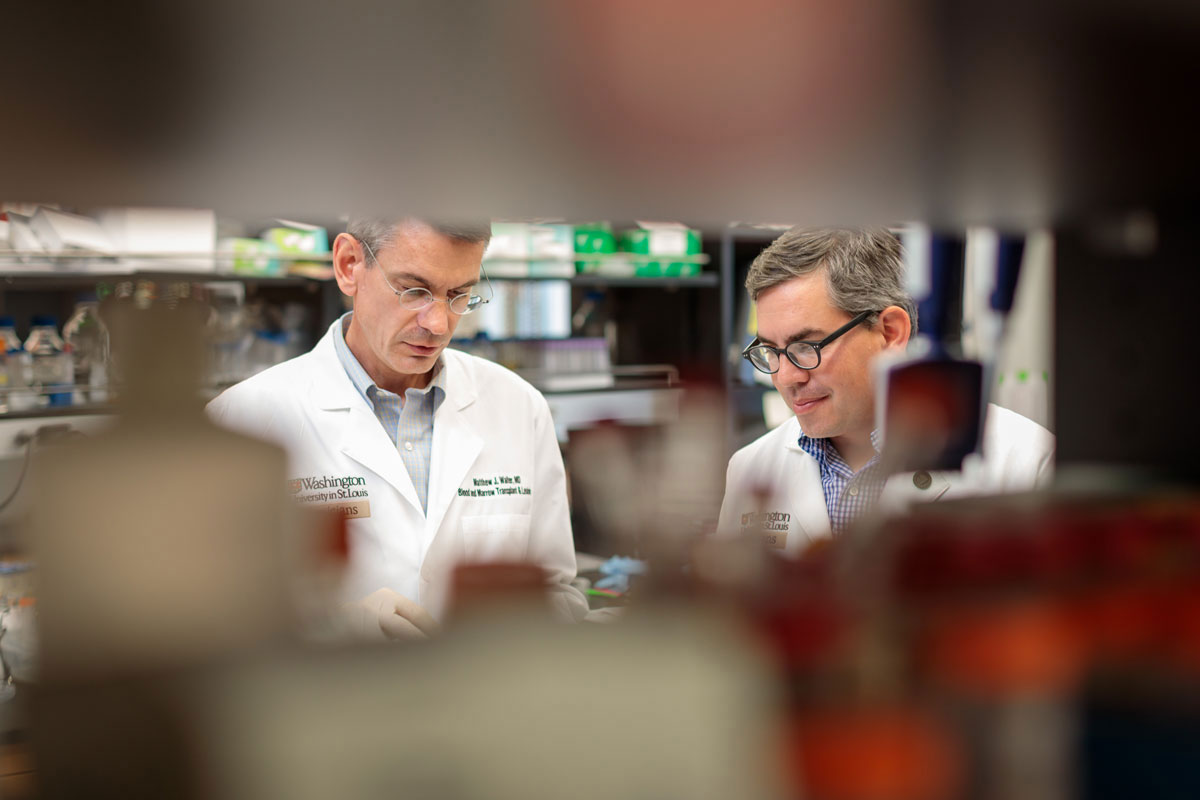 Two men in lab coats seen working from behind a shelf with lab equipment