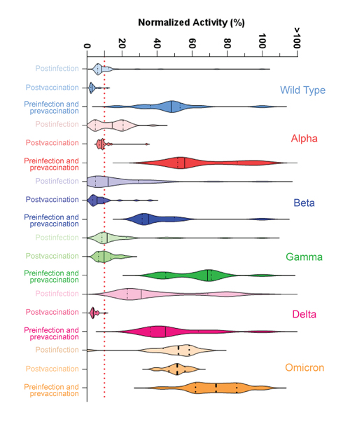 A chart showing the potency of patients’ neutralizing antibodies against the original strain of SARS-CoV-2 and the Alpha, Beta, Gamma, Delta, and Omicron variants