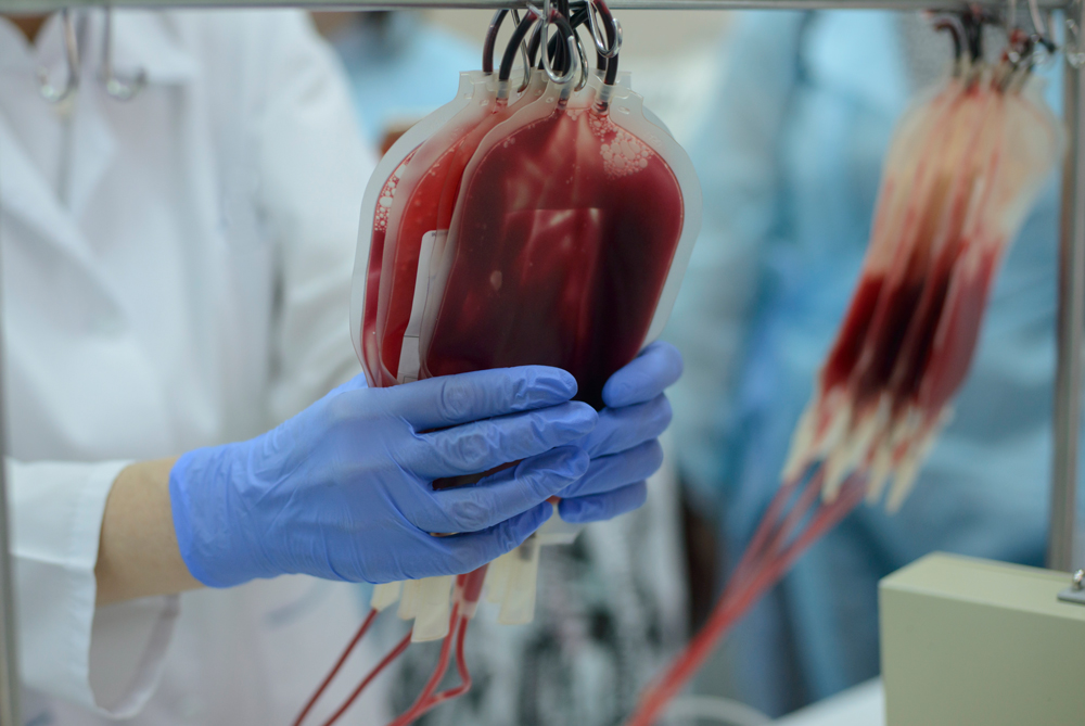 A healthcare worker handles blood donation units