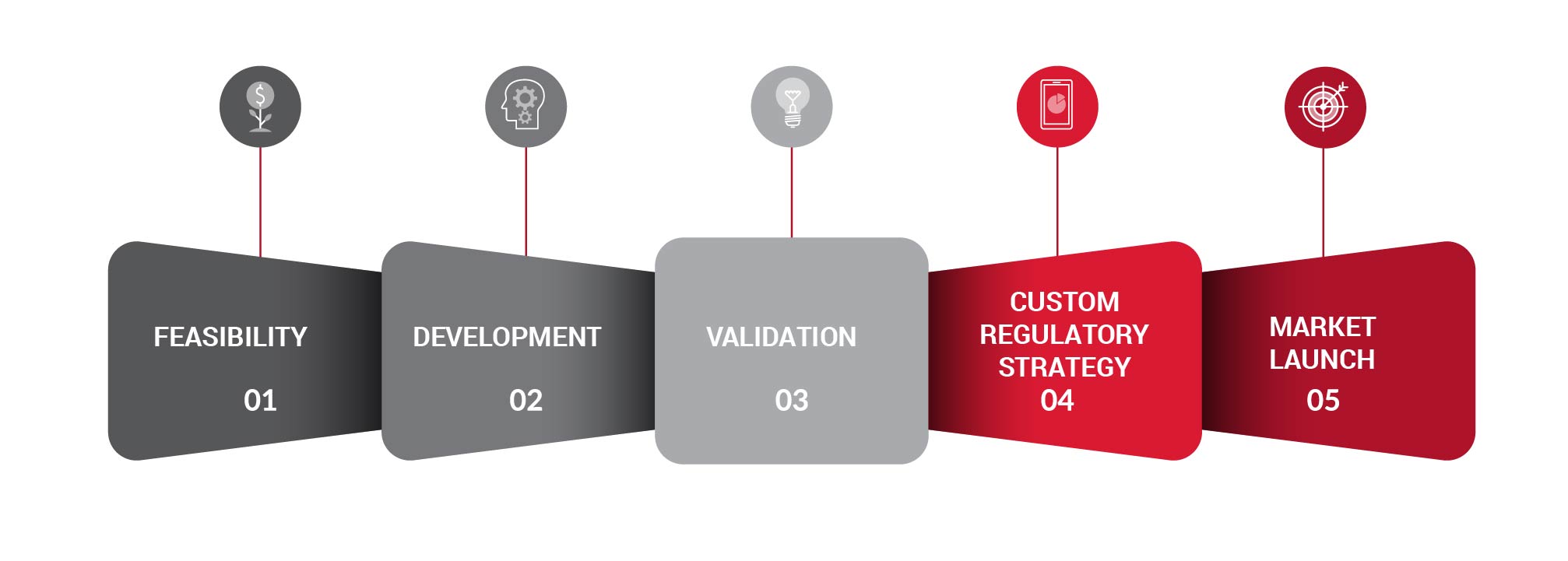 Feasibility, Development, Validation, Regulatory, Market Launch