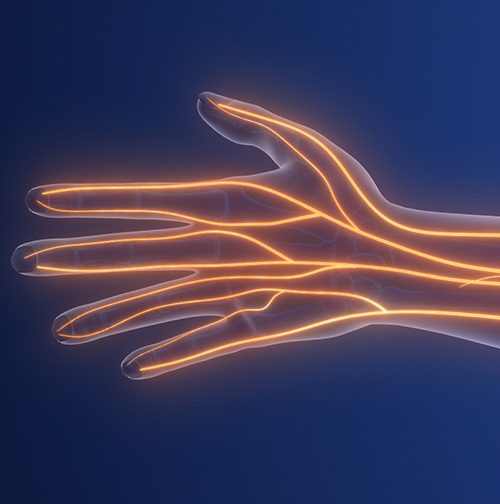 ”Autoimmune Neuropathy