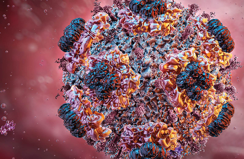 Ebola-Hantavirus