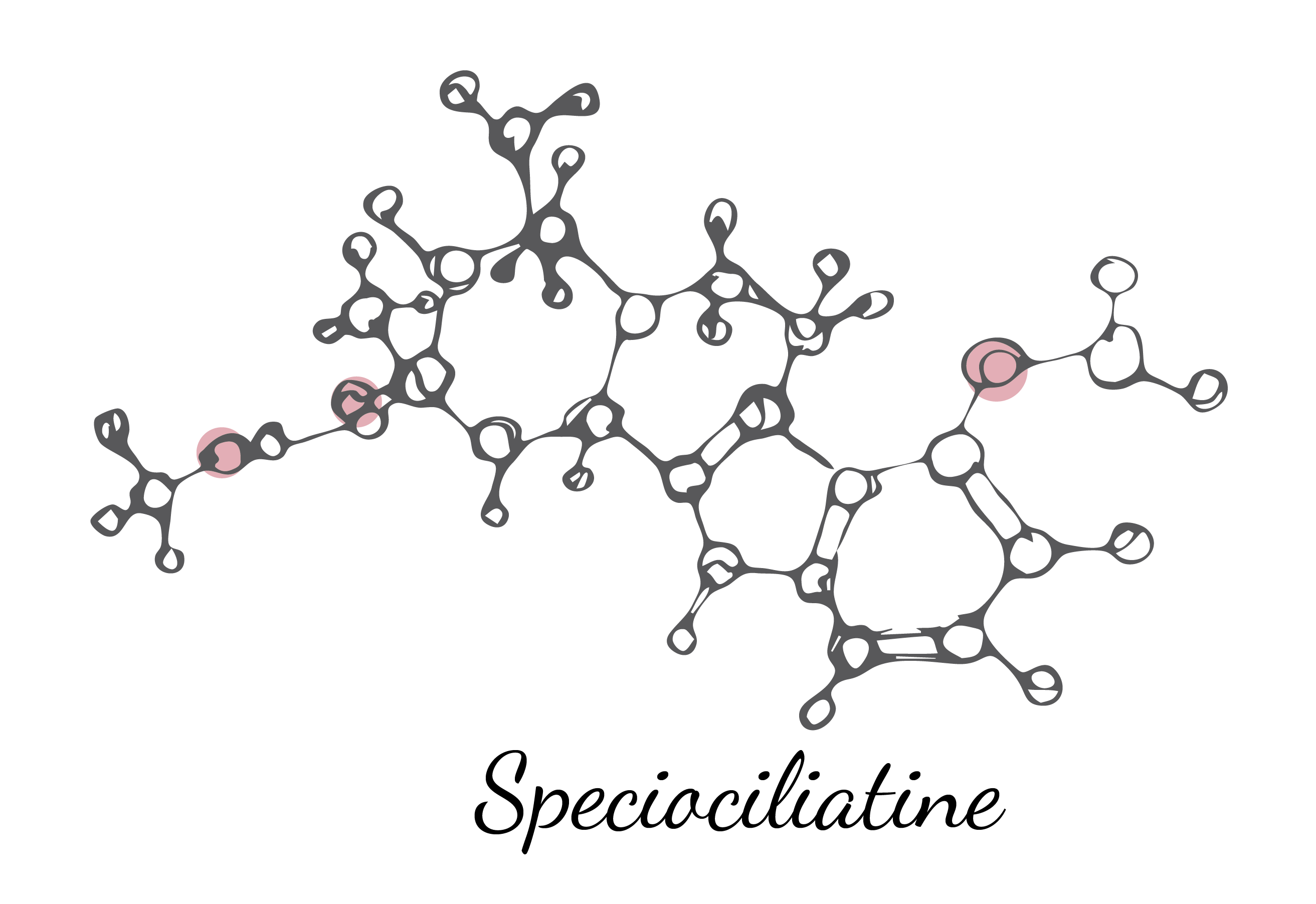 Line art of drug structures